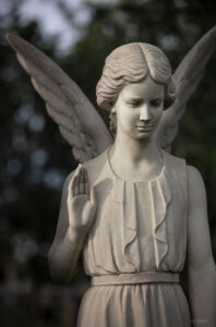 Sunset Angel