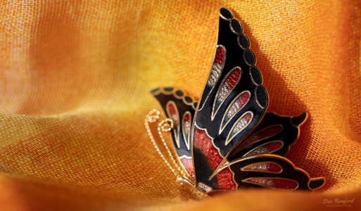 The Butterfly pin