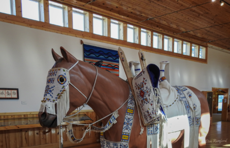 Indian Horse