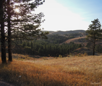 Black Hills -SD