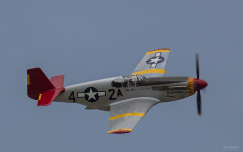 Red Tail